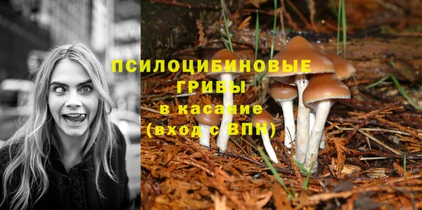 2c-b Алексеевка